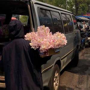 国内自拍青青草
